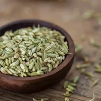 FennelSeeds